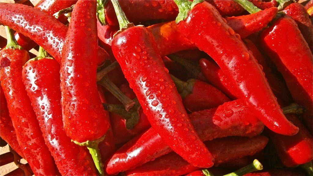 A pile of red chili peppers in a basket.